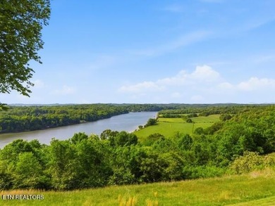 This Panoramic Horseshoe View of the Tennessee River/Watts Bar - photo 5