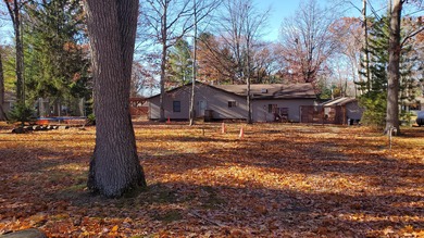 Amazing - buildable - double lot WITH deeded lake access! - photo 6