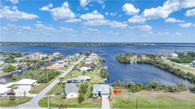 Myakka River Home Sale Pending in Port Charlotte Florida