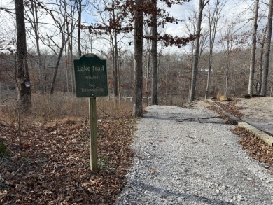 Building Lot with Dock Space Available - photo 9