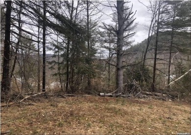 Schroon Lake Lot For Sale in Adirondack New York