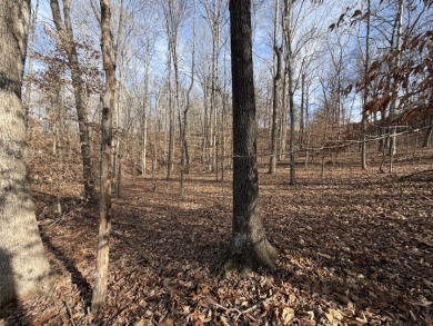 Building Lot with Dock Space Available - photo 5