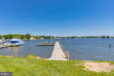Extremely Rare Opportunity! 110' +/- Water frontage sitting on - photo 9