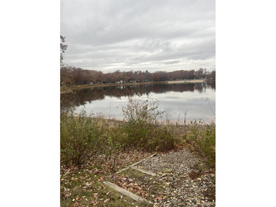 Crystal Lake - Manistee County Lot For Sale in Wellston Michigan