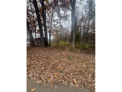 Beautiful wooded lot, perfect for a tiny home or vacation - photo 2
