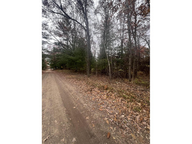 Beautiful wooded lot, perfect for a tiny home or vacation - photo 3