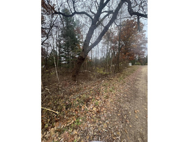 Beautiful wooded lot, perfect for a tiny home or vacation - photo 4