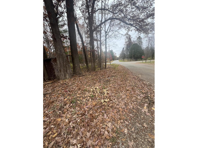 Beautiful wooded lot, perfect for a tiny home or vacation - photo 5