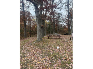 Beautiful wooded lot, perfect for a tiny home or vacation - photo 6
