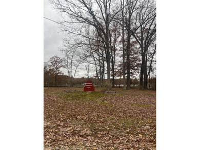 Beautiful wooded lot, perfect for a tiny home or vacation - photo 8