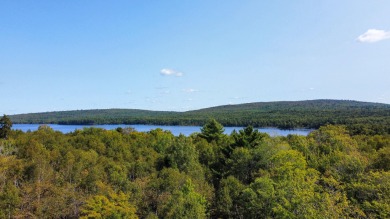 Cold Stream Pond Acreage For Sale in Enfield Maine