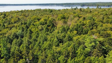 Unique lakefront parcel with twentyA+- acres of mature forest - photo 3