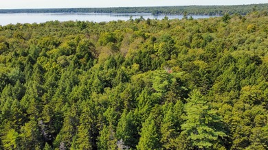 Unique lakefront parcel with twentyA+- acres of mature forest - photo 6
