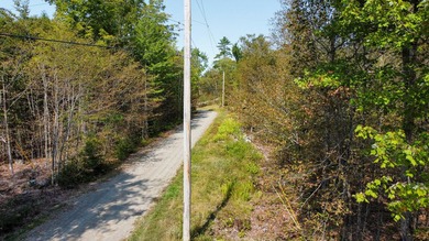 Unique lakefront parcel with twentyA+- acres of mature forest - photo 7