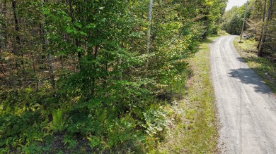 Unique lakefront parcel with twentyA+- acres of mature forest - photo 8