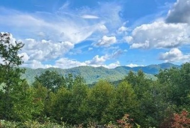 Lake Lot For Sale in Bryson City, North Carolina