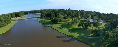 Beautiful corner lot with large established live oak and water - photo 11