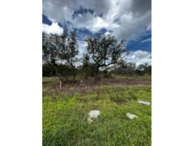 Cleared and ready for you! Great location and just a few blocks - photo 1