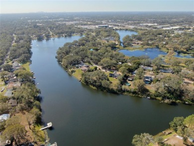 Lake Home Sale Pending in Lutz, Florida