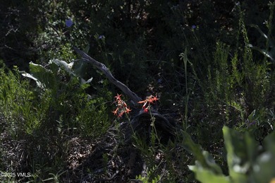 Welcome to a rare offering in Salt Creek-over 47 acres of - photo 32