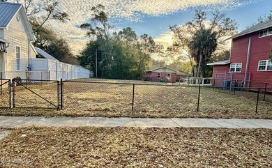 Great opportunity to own a fenced lot zoned T4L, ideally located - photo 2