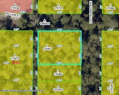 Lake Century Lot For Sale in Spring Hill Florida