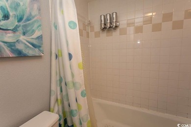 Welcome to this immaculate 1 bedroom/1 bath condo at Bluewater - photo 12