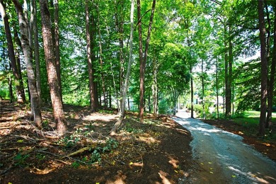 Beautiful large waterfront lot with lots of hardwoods and - photo 12