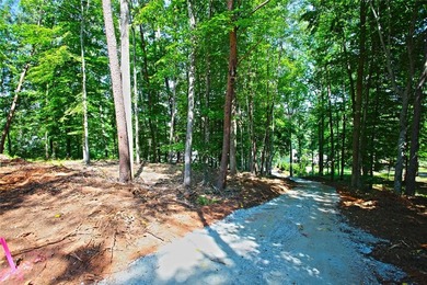 Beautiful large waterfront lot with lots of hardwoods and - photo 13