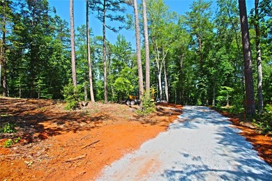 Beautiful large waterfront lot with lots of hardwoods and - photo 15