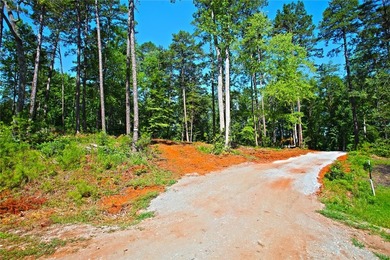 Beautiful large waterfront lot with lots of hardwoods and - photo 18