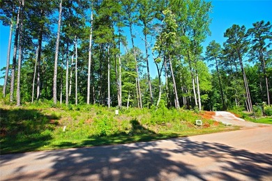 Beautiful large waterfront lot with lots of hardwoods and - photo 19