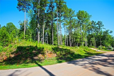 Beautiful large waterfront lot with lots of hardwoods and - photo 20