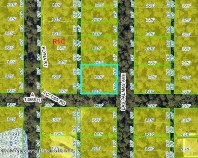 Lake Century Lot For Sale in Spring Hill Florida
