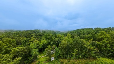 (private lake, pond, creek) Acreage For Sale in Dexter City Ohio