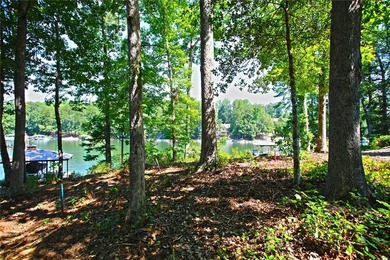 Beautiful large waterfront lot with lots of hardwoods and - photo 34