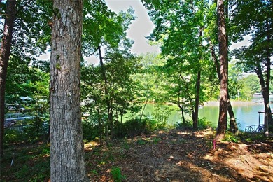Beautiful large waterfront lot with lots of hardwoods and - photo 35