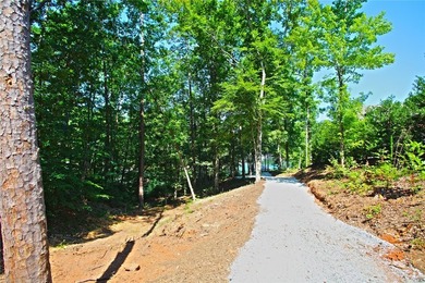 Beautiful large waterfront lot with lots of hardwoods and - photo 39