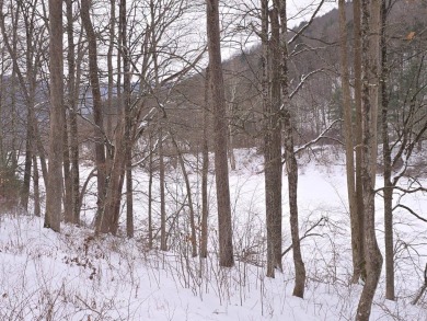 Lake Acreage For Sale in Hancock, New York