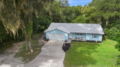 (private lake, pond, creek) Home For Sale in Orange City Florida