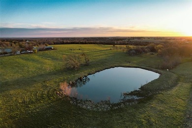 (private lake, pond, creek) Acreage For Sale in Howe Texas