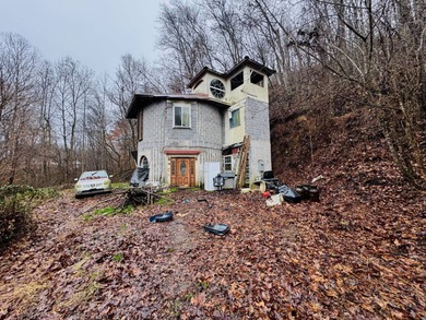 (private lake, pond, creek) Home For Sale in Greeneville Tennessee