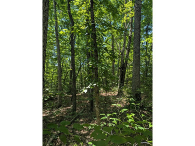 Lake Acreage For Sale in Monterey, Tennessee