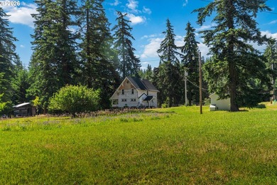 Absolutely charming 1910 Craftsman farmhouse - calling all - photo 43