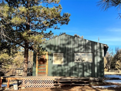 Heron Lake Home For Sale in Los Ojos New Mexico