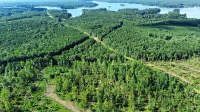 Lake Acreage For Sale in Salem, Alabama