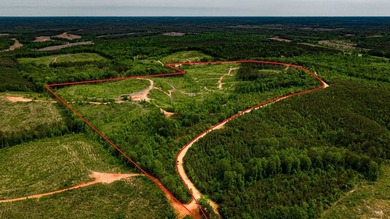 105.06+/- Acres | Mt. Gilead Rd & Blue Ridge Rd | Itawamba - photo 1