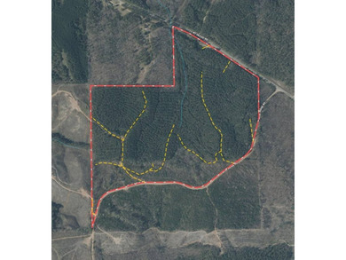105.06+/- Acres | Mt. Gilead Rd & Blue Ridge Rd | Itawamba - photo 2