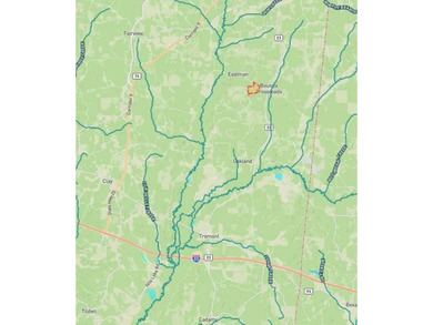 105.06+/- Acres | Mt. Gilead Rd & Blue Ridge Rd | Itawamba - photo 4