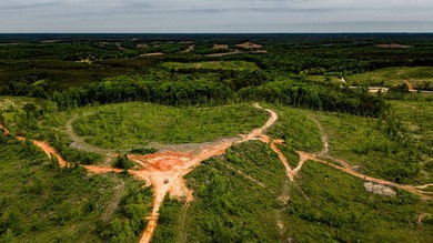 105.06+/- Acres | Mt. Gilead Rd & Blue Ridge Rd | Itawamba - photo 10